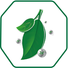 锌效抗菌生态板-生态板十大品牌-家具板材十大排名-MG不朽情缘