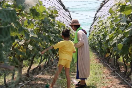 MG不朽情缘(中国区)官方网站