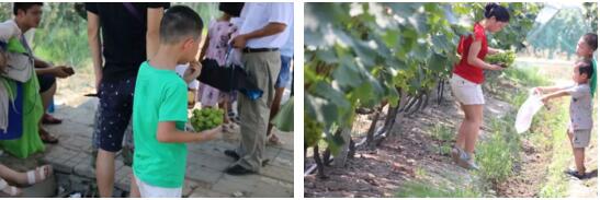 MG不朽情缘(中国区)官方网站