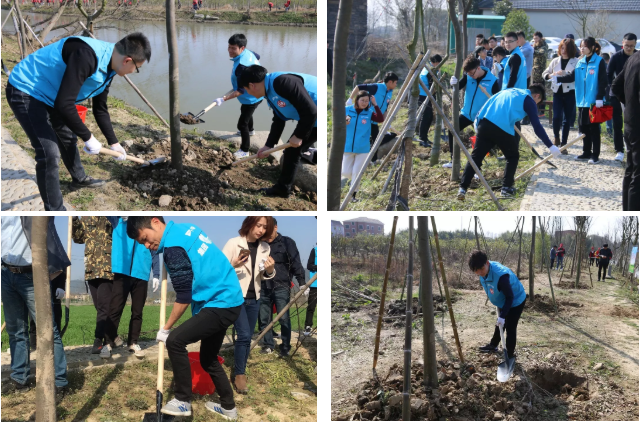 MG不朽情缘(中国区)官方网站