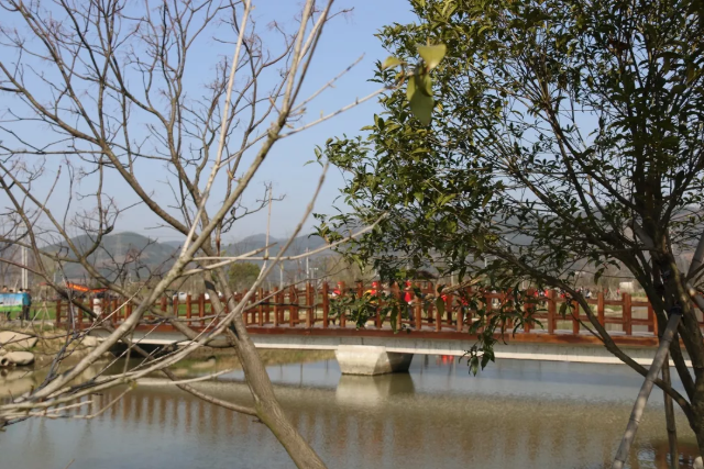 MG不朽情缘(中国区)官方网站