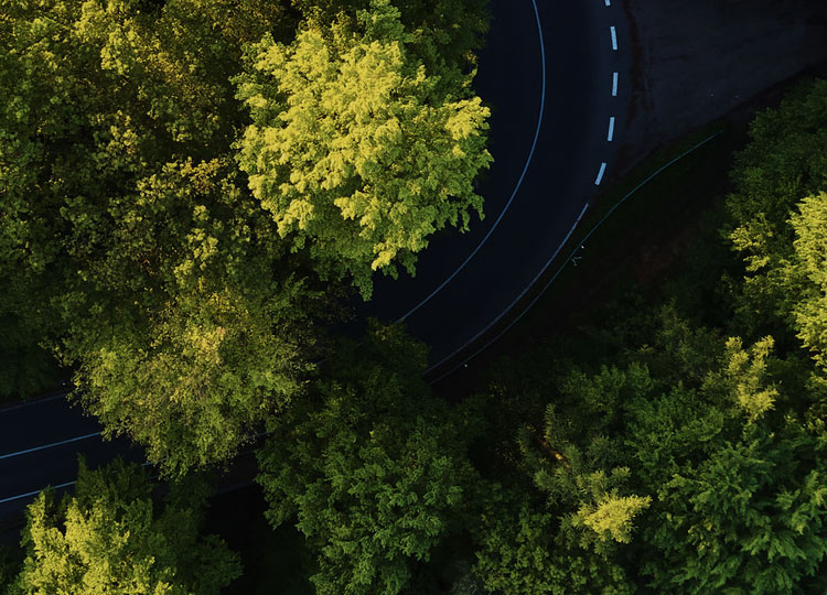 MG不朽情缘简介-基材_板材十大品牌_康健家居品牌_地板,木门,衣柜,橱柜_MG不朽情缘