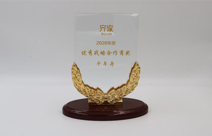 2020年度优异战略相助商奖