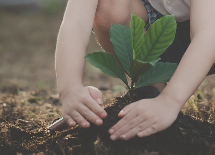 基材_板材十大品牌_康健家居品牌_地板,木门,衣柜,橱柜_MG不朽情缘