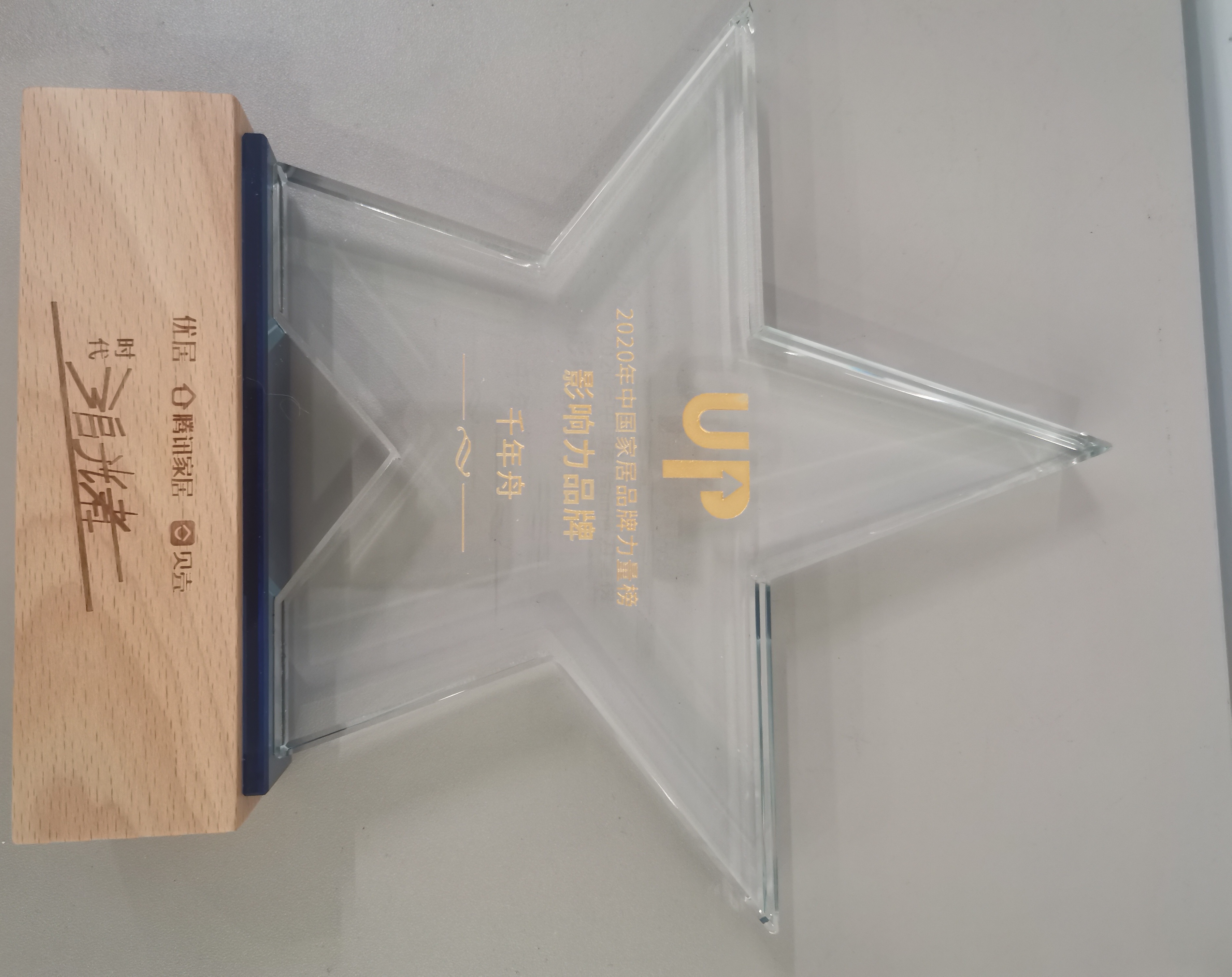 2020年中国家居品牌实力榜影响力品牌